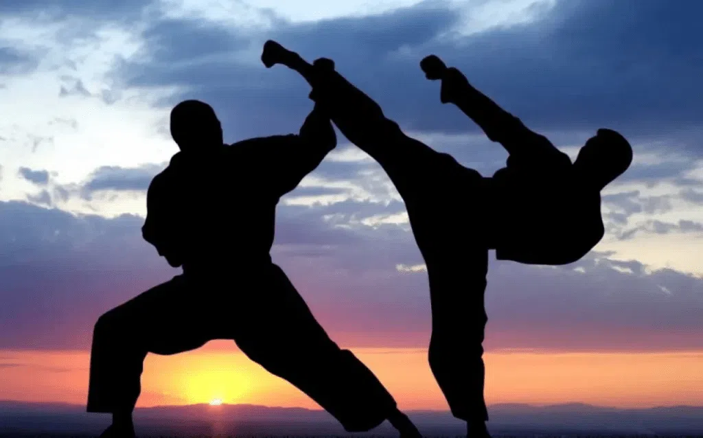 Martial arts